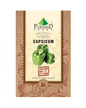 Pyramid Capsicum Seeds 