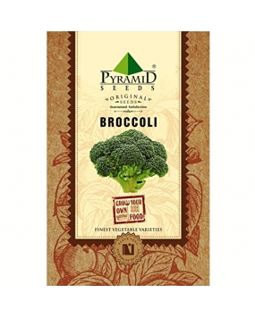 Pyramid Broccoli Seeds