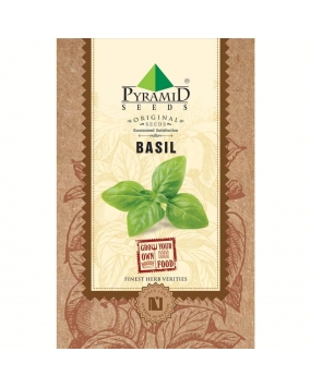 Pyramid Seeds Basil 