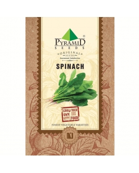 Pyramid Palak or Spinach Seeds 