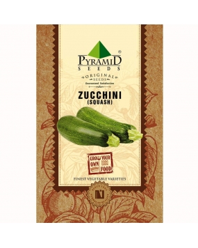 Pyramid Squash or Zucchini Seeds