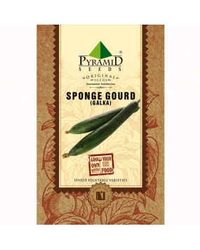 Pyramid Sponge Gourd Seeds 