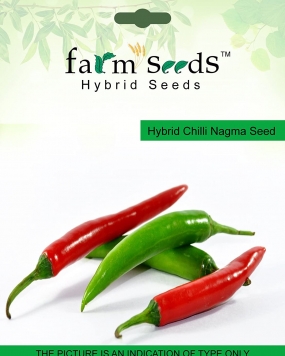 FARM SEEDS Hybrid Chilli Nagma 