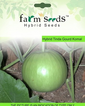 FARM SEEDS Hybrid Tinda Gourd Komal 