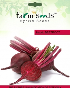 FARM SEEDS Hybrid Beetroot Seeds,