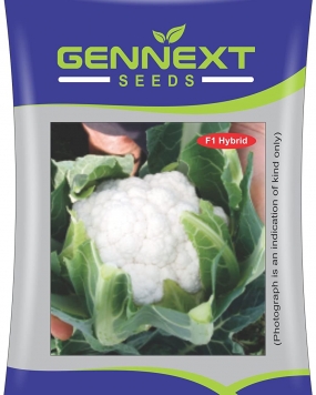 GENNEXT SEEDS F1 Hybrid Cauliflower Seeds