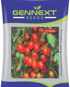 GENNEXT SEEDS F1 Hybrid Cherry Tomato Seeds