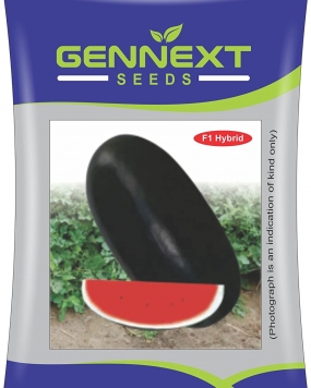GENNEXT SEEDS F1 Hybrid Watermelon Icebox Seeds
