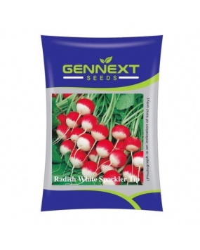 Gennext Seeds Radish White Sparkler Tip Seeds